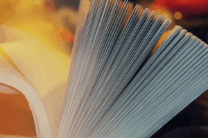 总书记关心的世界文化遗产｜一湖水墨润文脉