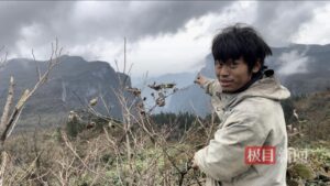 网友给张家界七星山荒野求生赛“加码”，赞助10万元的广东老板回应