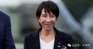 日本大佬也看不下去了