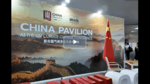 Insights丨How an African economist saw China anew at COP30