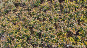 老了才明白，这辈子最暖心的，终究不过这三个人