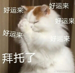 星座超话邀网友转发点赞接好运