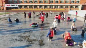 连休9天！多地官宣“雪假” 网友：实名制羡慕