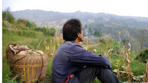 发现没有，农村打光棍的大多是老实巴交，埋头苦干，踏实过日子的