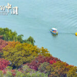 好好说话需安放情绪真诚倾听把握分寸