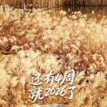 向上的人生活再难也能坚持到放晴