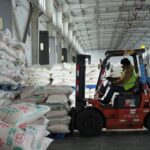 全力保障国家粮食安全，新疆铁路多点发运织密粮食运输“保障网”