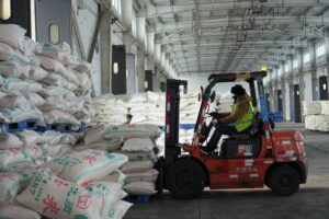 全力保障国家粮食安全，新疆铁路多点发运织密粮食运输“保障网”