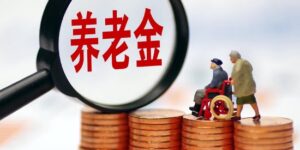 陆挺建议逐渐将农民养老金上调至每月千元