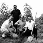 一棵杜仲树  三代追梦人