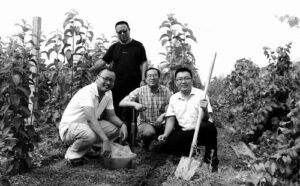 一棵杜仲树  三代追梦人