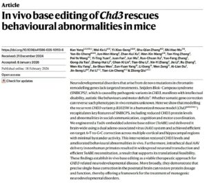《自然》发表中国研究成果：修复大脑里一个“错字” 孤独症小鼠恢复了正常
