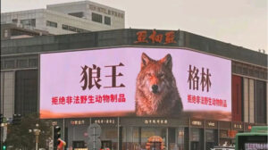 突然翻红，看哭全网，但已离世