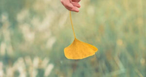 心理学告诉你：为什么一定要远离“死不认错”的人