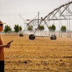 “这是中国30年持续、有针对性投资的结果”