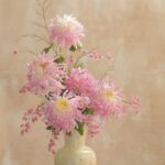 七言｜相逢已是上上签，何必执着事事圆？