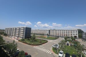 “国家的孩子”，从被关照到独自走向未来