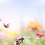 联播+｜“喻”见世界文明的百花园