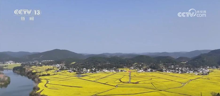 繁花绽放“美丽经济” 多彩活动点燃春日文旅消费热情