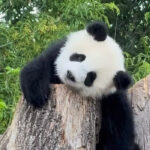 调查显示不足5%女性能在晚10点前入睡