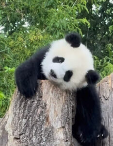 调查显示不足5%女性能在晚10点前入睡