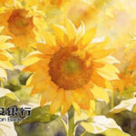 夜读 | 人生“三有”：眼中有光，脚下有路，心中有度