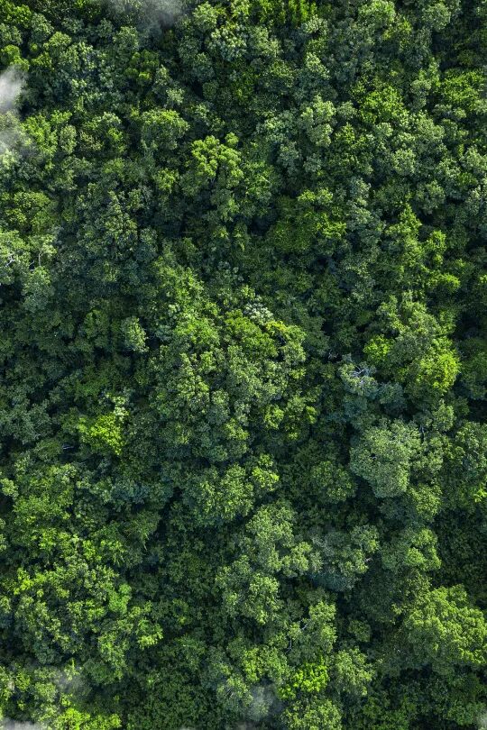 七言｜你好，人间4月