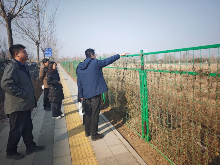 中咨公司全方位服务雄安新区建设 智绘未来城